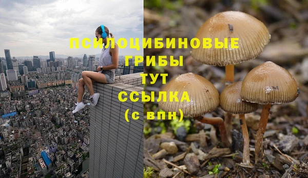 эйфоретик Нягань