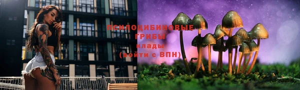 марки lsd Нязепетровск