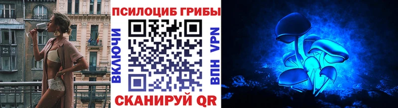 Псилоцибиновые грибы Psilocybe  Шахты 